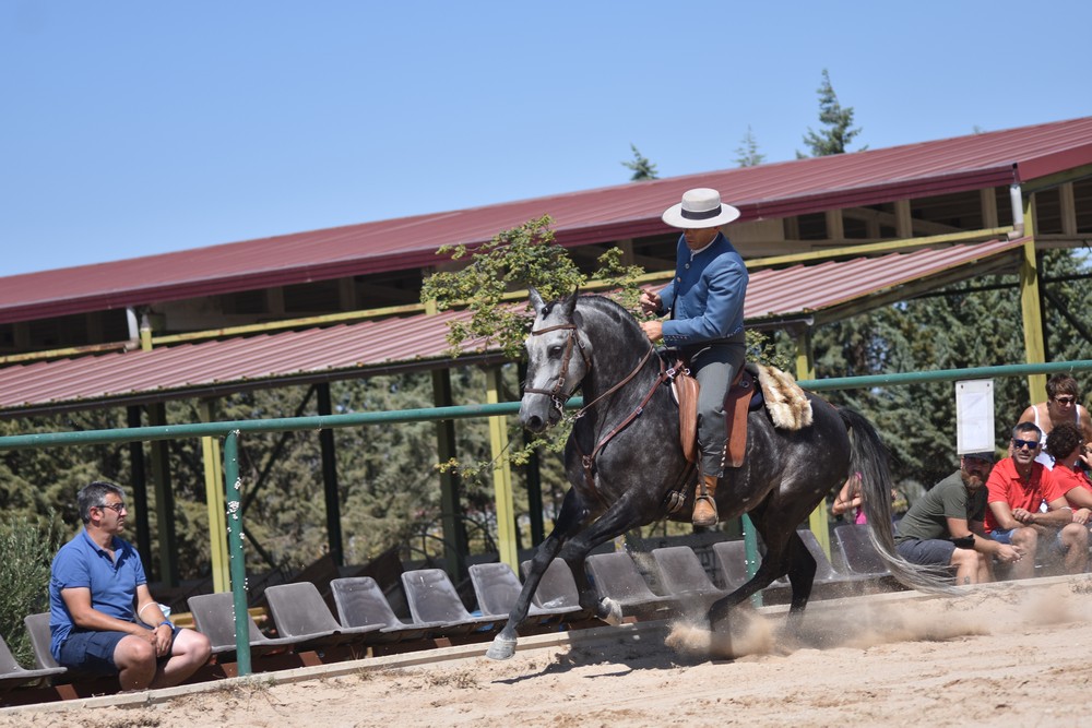 Jornadas de Equitación de Trabajo en Falces